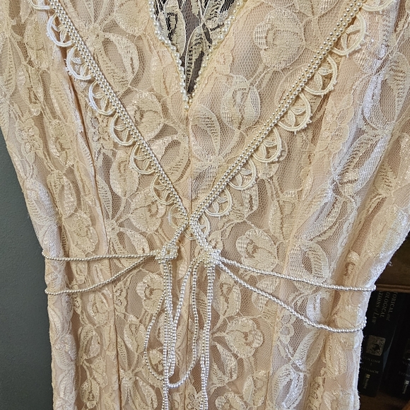 Meet your Posher, Rebecca, Peter, Beau & Duke Golden Retrievers, & Tracey Beagle - Picture 14 of 16